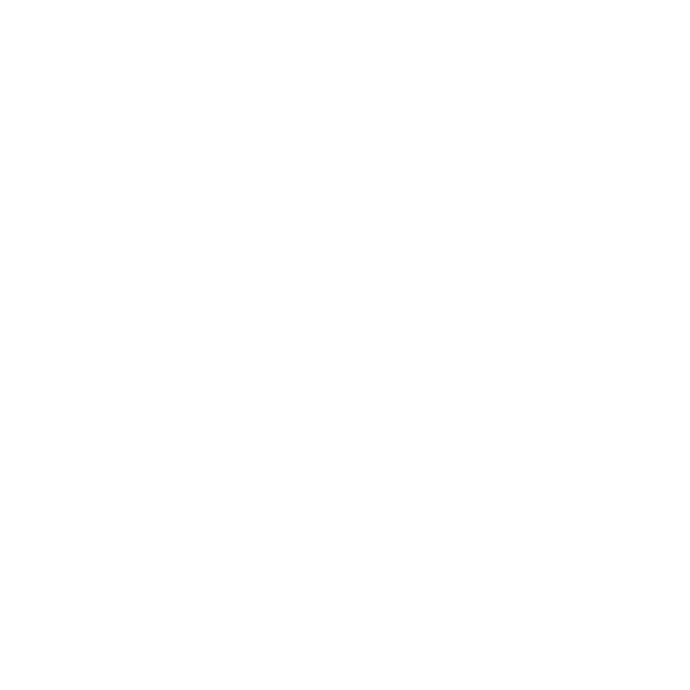 Search Icon