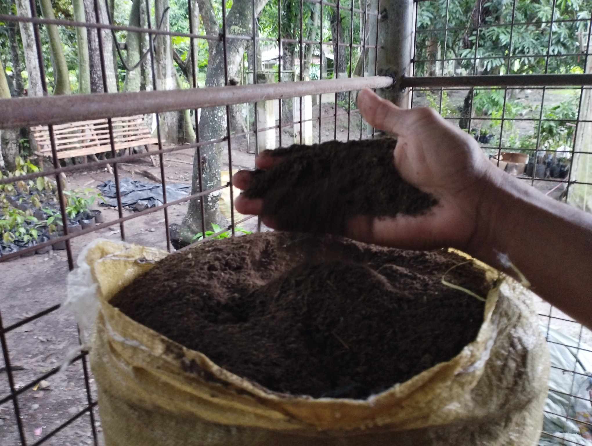 Gallery Image 2 of VERMICOMPOST