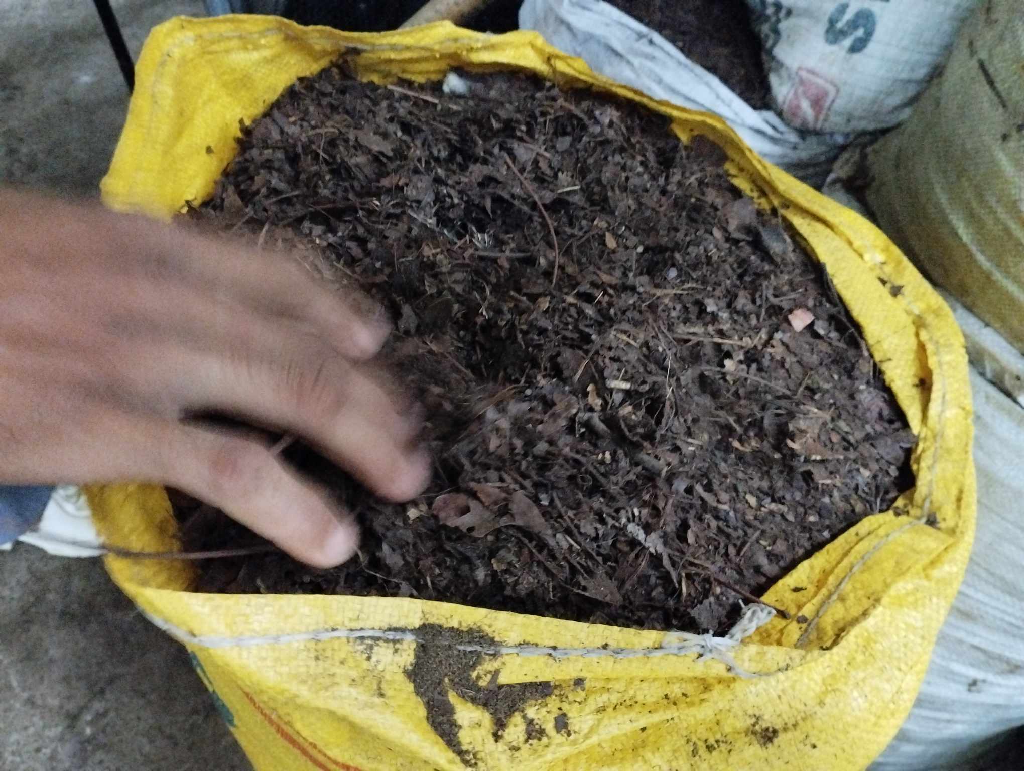 Gallery Image 4 of VERMICOMPOST