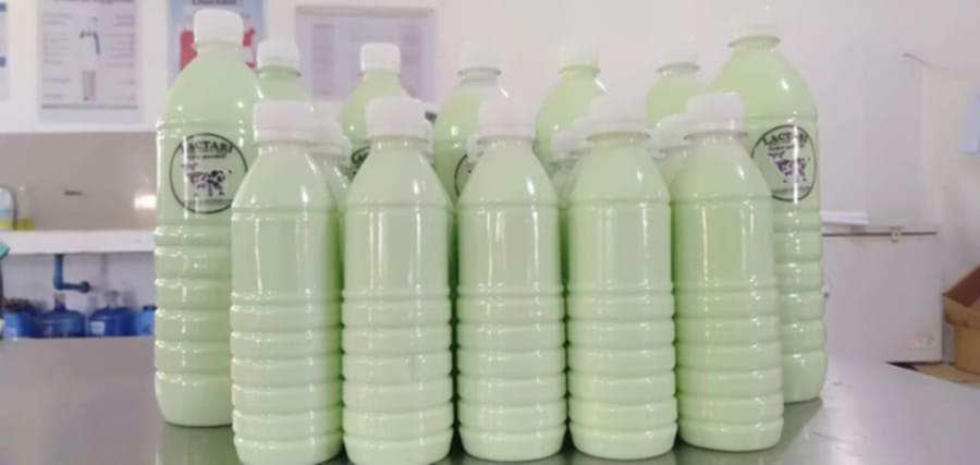 BUKO PANDAN FLAVORED MILK