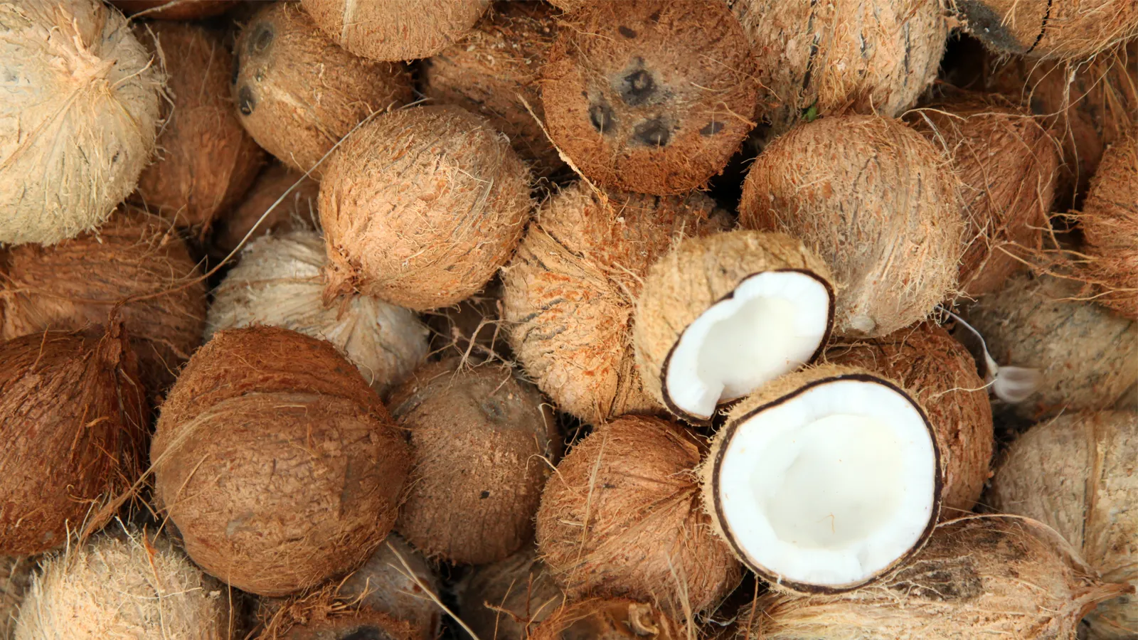 COCONUT