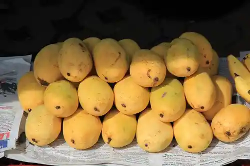 MANGO