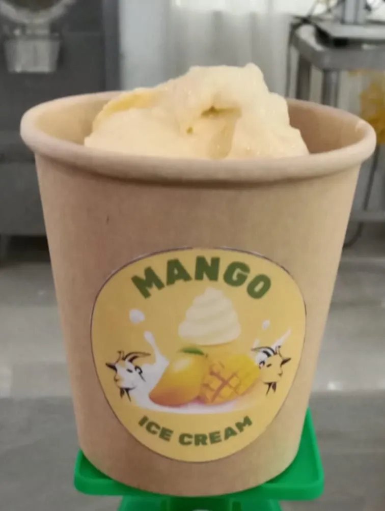 Gallery Image 2 of MANGO ICE CREAM