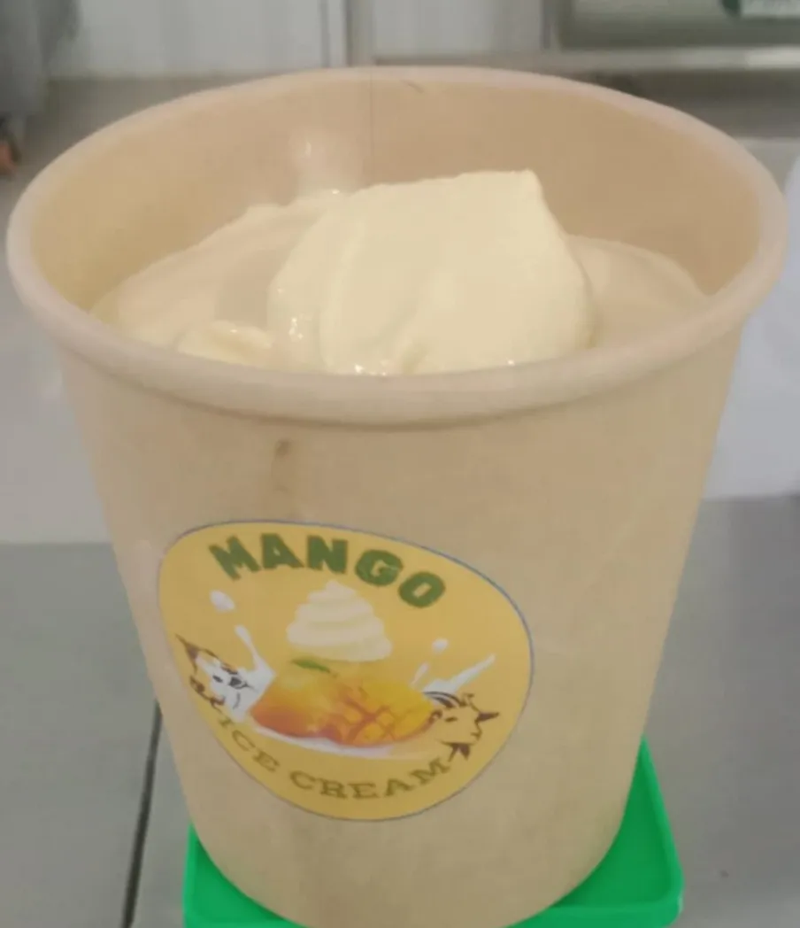 Gallery Image 3 of MANGO ICE CREAM