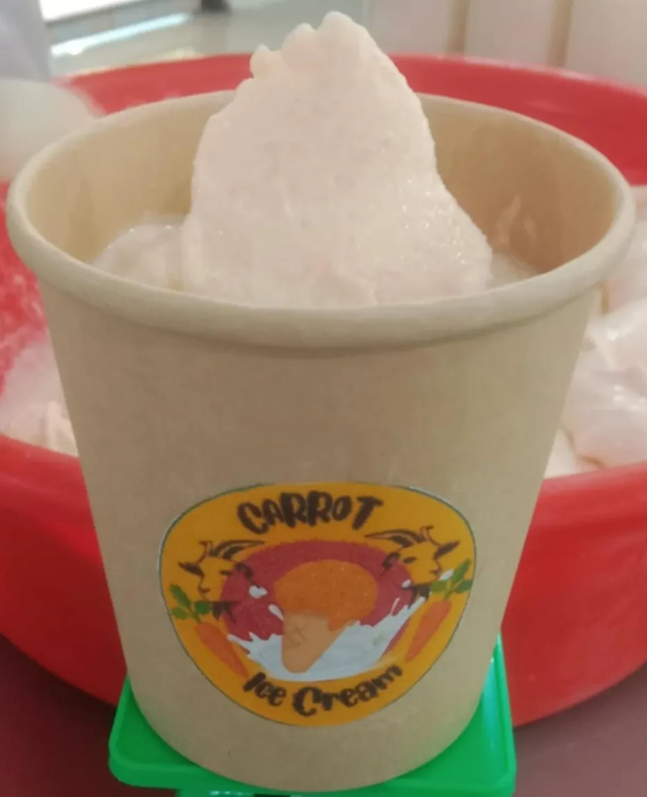 Gallery Image 2 of CARROT ICE CREAM