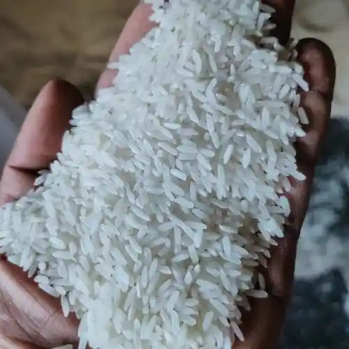 Gallery Image 1 of White Rice